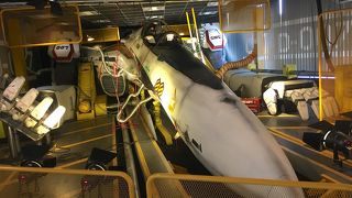 実物大バルキリー