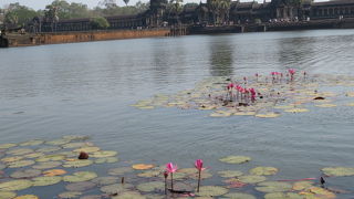 実物は見ごたえあるわー