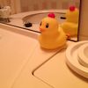 バスルームにヒヨコちゃん