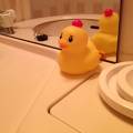 バスルームにヒヨコちゃん