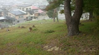 桜や紅葉のシーズンにオススメ