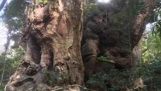 どんどん整備されて行きます