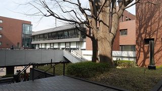 第三水曜日はシルバーデーです。