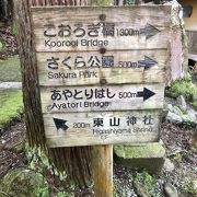 軽い運動にもなる散策コース