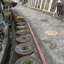 こんな風景にほっこりできる道ですよ