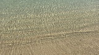 透明な海