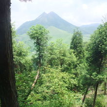 倉木山からの由布岳