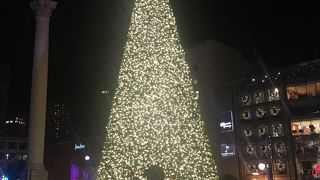 大きなツリーがありました