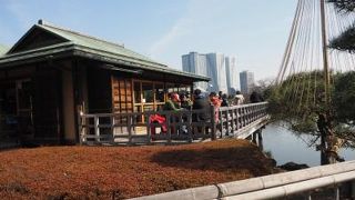 浜離宮の潮入りの池に浮かぶ中島の御茶屋では抹茶を楽しむことができます
