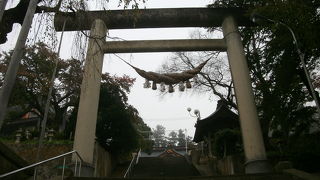 継ぎ目なし石造の大鳥居や鳥帽子石があります