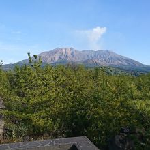 鳥島展望所より