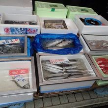 地元の魚があれこれ並ぶ店頭