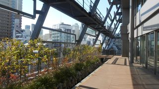 ビルの南側テラスが緑化されているが、植物には可哀そう。