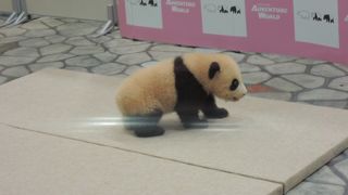 大雨の日でも楽しめました