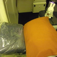 厚手の毛布と枕。