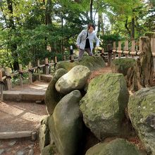 螺旋状の通路が特徴