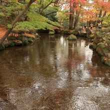 庭園内を流れる曲水
