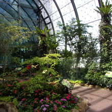 そんなに広くはありません。