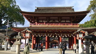 梅が咲き始めていました