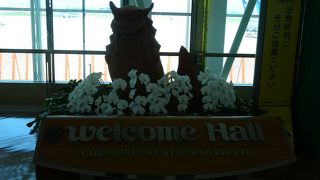 沖縄らしさ満載の空港!!滑走路は1本だけで超過密!!