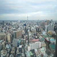 エレベーターの中から。