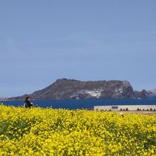 城山日出峰