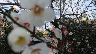 菅原道真公邸宅跡の神社!!