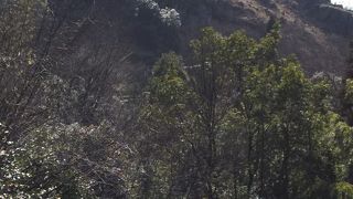 素晴らしかった