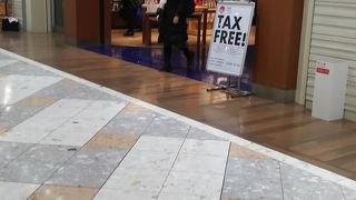 大好きなディズニー