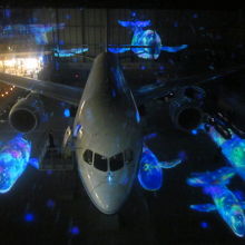 目玉は”特等席”で見られるこれかなと思いますが…。