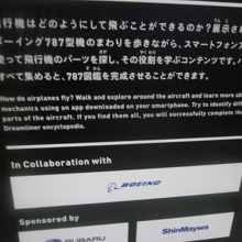 こういうややこしいのは要らないから、もう少し安くすべきでしょ