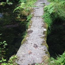 池の近くの橋