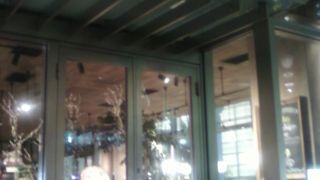 人気ありますね。