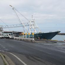 水揚げはダイナミックです