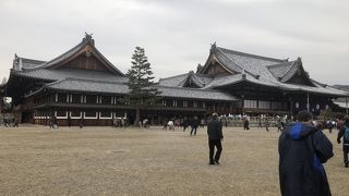 大きい！広い！