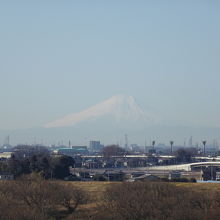 富士山も見えました