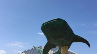 南国の海の中にいるような水族館