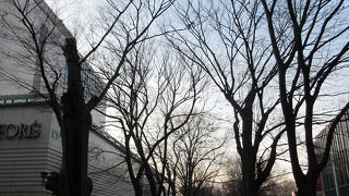 府中駅から大國魂神社への参道。