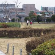 湖畔沿いの遊歩道