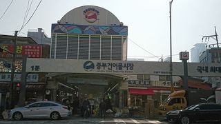 大量のイシモチ