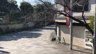 川沿いの散歩道