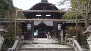 ウサギが神の使い