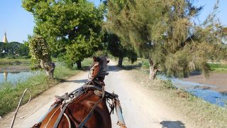 風情があります