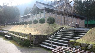 蓮の見頃に訪れたいものです