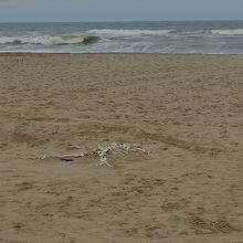 浜辺には、遭難者を模した骨が置いてあるのがちょっと悪趣味。