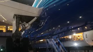 飛行機大っきい！