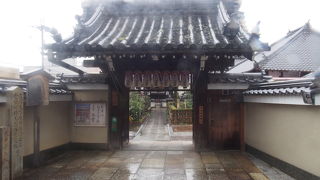 五色八重散椿で有名