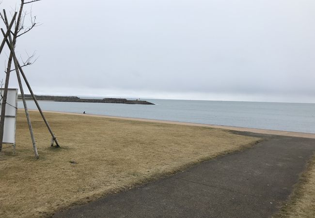 海老江海浜公園(海水浴場)