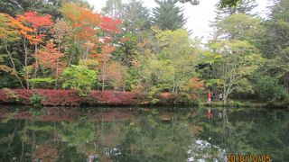 別荘地の中の静かな池