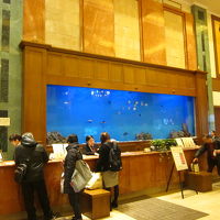 フロントの超巨大水槽？…